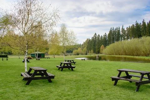 Beautiful picnic area within springtime near trout fishing pond Stock Photos
