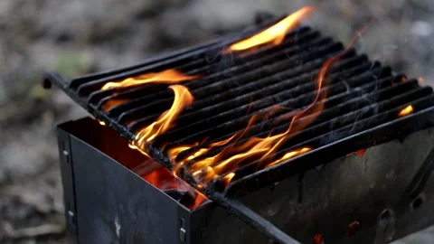 Beautiful pine forest in sunbeams on a warm summer day. Video stock 159475083