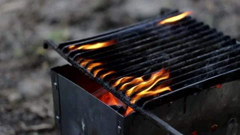 Beautiful pine forest in sunbeams on a warm summer day. Vídeo Stock 159475342
