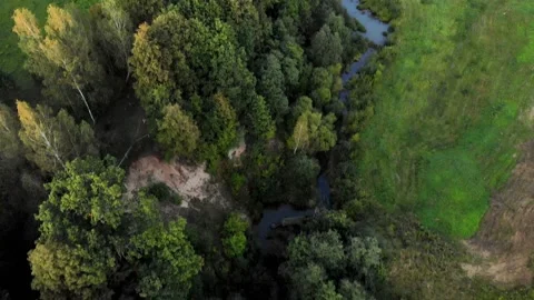 Beautiful pine forest at sunset. Aerial Drone Footage Stock-Footage 140147667