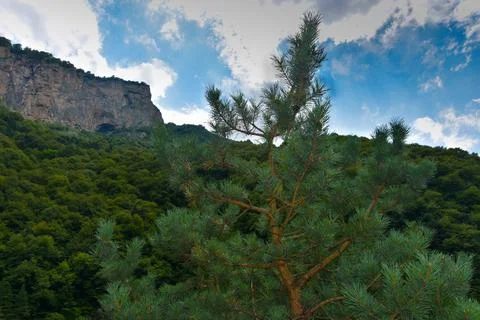 Beautiful pine tree against the backdrop of mountains and blue cloudy sky. Mo Stock Photos