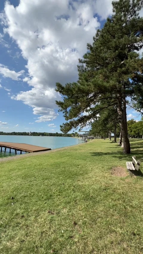 Beautiful pine tree on the shore of Palic lake, Serbia Stock Footage 247722804