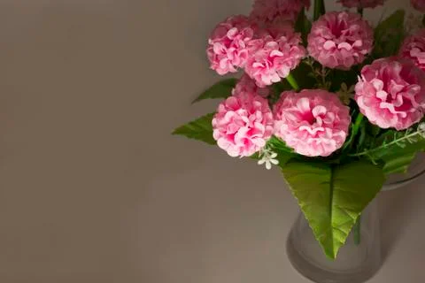 Beautiful pink flowers on grey background Stock Photos