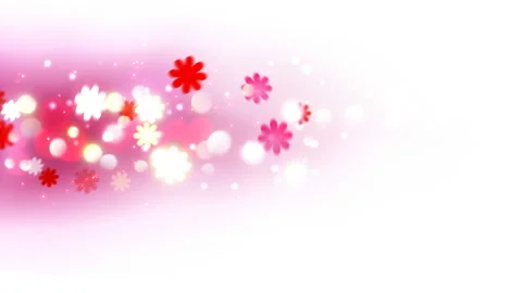 Beautiful pink flowers holiday background. Stock Footage 104765853