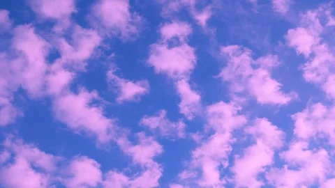 Beautiful Pink Fluffy Cloudscape in Blue Sunset Sky in Sunlight Time Lapse. Puff Stock Footage 316751951