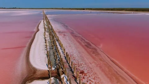 Beautiful pink lakes. Stock Footage 137997765
