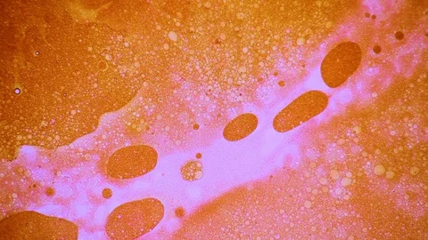 Beautiful pink liquid art pattern bubbles Stock Footage 127867032