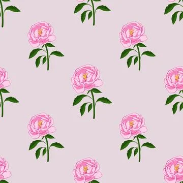 Beautiful pink peony pattern design for great lovely textile pattern Stock Illustration