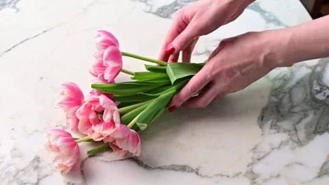 Beautiful pink tulips arranged elegantly on a marble surface showcasing their Stock Footage 304044169