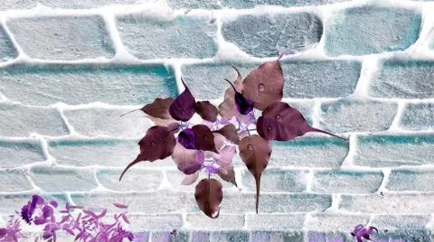 Beautiful pipal leafs with bricks wall abstract design Stock Illustration