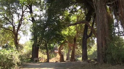 Beautiful place Stock Footage 8622887