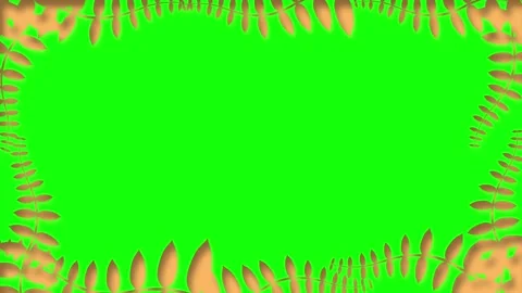 Beautiful plants leaves with shadow effect on green screen Stock Footage 306078339