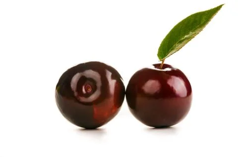 Beautiful plum Stock Photos
