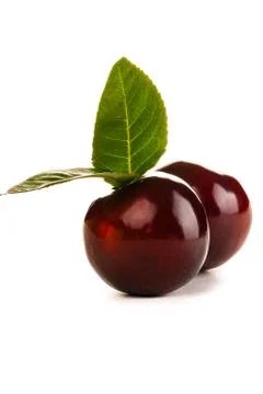Beautiful plum Stock Photos