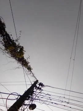 A beautiful poll Stock Photos