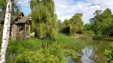 Beautiful Pond 10 Stock Footage 91867267