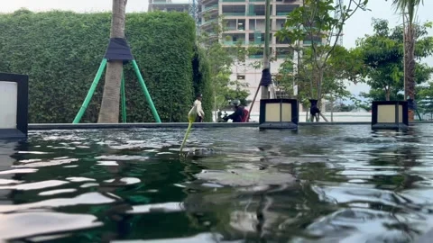 A beautiful pond that beautifies the yard Stock Footage 273293181