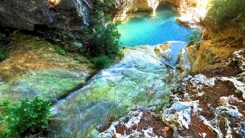 Beautiful Pond in Jungle Video stock 130113962