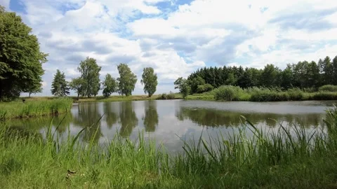 Beautiful pond in nature Stock Footage 244446863