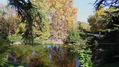 Beautiful pond reflecting fall colors Video stock 342493024