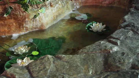 Beautiful pond stream 動画素材 51851272