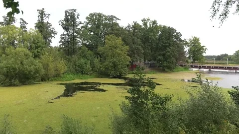 Beautiful Pontoon bridge on the river. Stock Footage 101482396