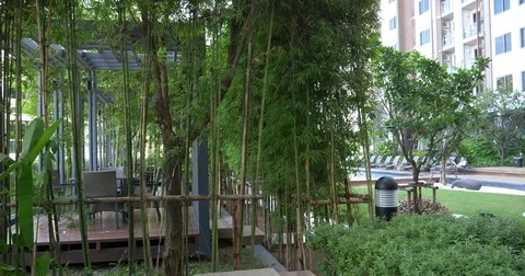 Beautiful pool by bamboo plants Stock Footage 82594402