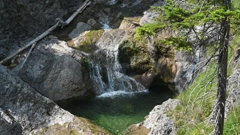 A beautiful pool of a mountain stream in a forest (slow motion) Stock-Footage 219644749