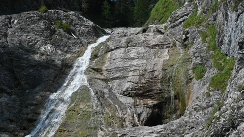 A beautiful pool of a mountain stream in a forest (slow motion) Video stock 219644758