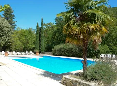 Beautiful pool surrounded by trees Stock Photos