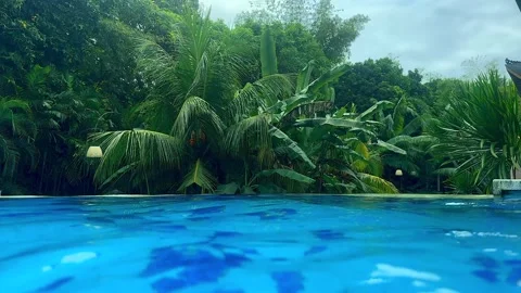Beautiful pool in a tropical setting Stock Footage 338427360