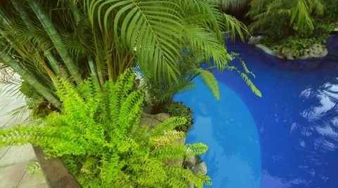 Beautiful pool  under trees at vacation spot Stock Footage 49141549