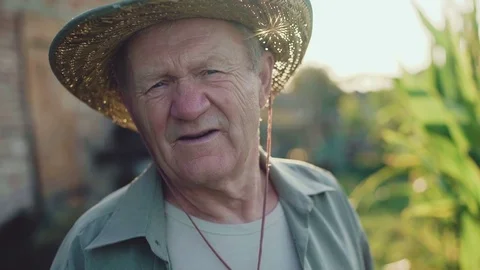 Beautiful portrait of an old farmer at field looking on the corn 4K Video stock 80968595