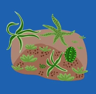 Beautiful postcard with cactuses composition. Stylish Mexican landscape Stock Illustration