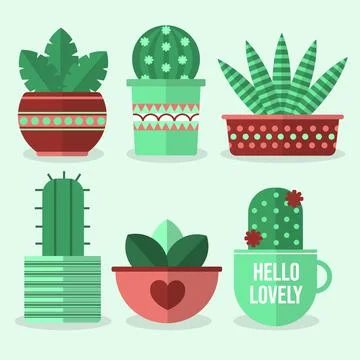 Beautiful pots with cactus and plants. Stock Illustration