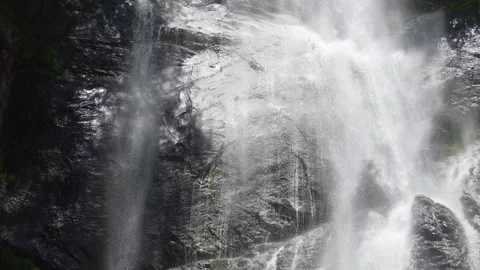Beautiful powerful waterfall in a lush green forest 動画素材 342077288