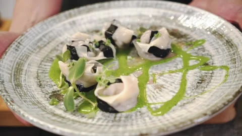 A beautiful presentation of the author's dumplings. Stock Footage 147110639