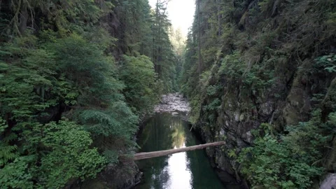 Beautiful pristine evergreen forest river, BC outdoors, fresh water, turquoise Stock Footage 246610578