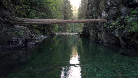 Beautiful pristine evergreen forest river, BC outdoors, fresh water, turquoise Stock Footage 246611472