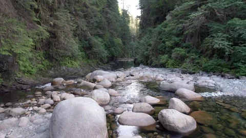 Beautiful pristine evergreen forest river, BC outdoors, fresh water, turquoise Stock Footage 249210093