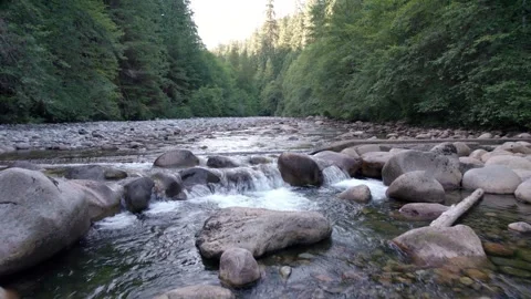 Beautiful pristine evergreen forest river, BC outdoors, fresh water, turquoise Stock Footage 251684092