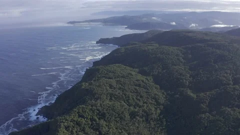 Beautiful Pristine Forest Pacific Coast near Bahia Mansa, Chile aerial Stock Footage 209134218