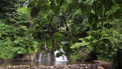 Beautiful pristine waterfall in the forest.Landscape, scenery, natural beauty Stock Footage 99595026