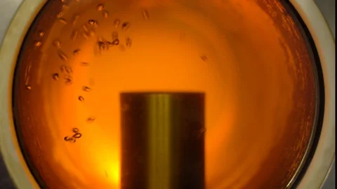 Beautiful process of filtering beer in the window. Close-up. Stock Footage 129533017