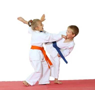 Beautiful professional sport karate Stock Photos