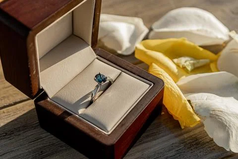 Beautiful proposal ring with a diamond Stock Photos