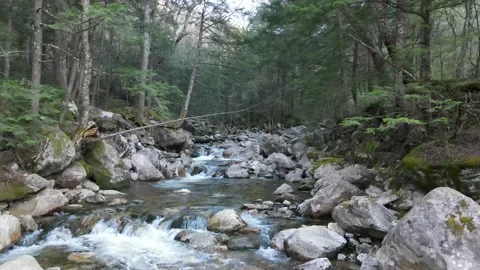 Beautiful pull away shot of a calm stream with tiny drops Stock Footage 130824728
