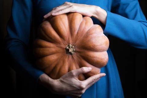 The beautiful pumpkin Stock Photos
