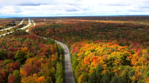 Beautiful Quebec at its peak in fall foliage Stock Footage 245795353