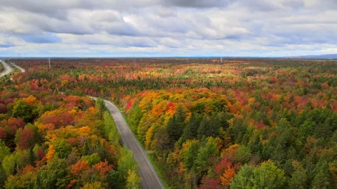 Beautiful Quebec at its peak in fall foliage Stock Footage 245795590
